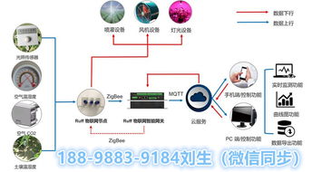 智慧農(nóng)業(yè)物聯(lián)網(wǎng)技術(shù)開發(fā)及整體解決方案網(wǎng)頁設(shè)計